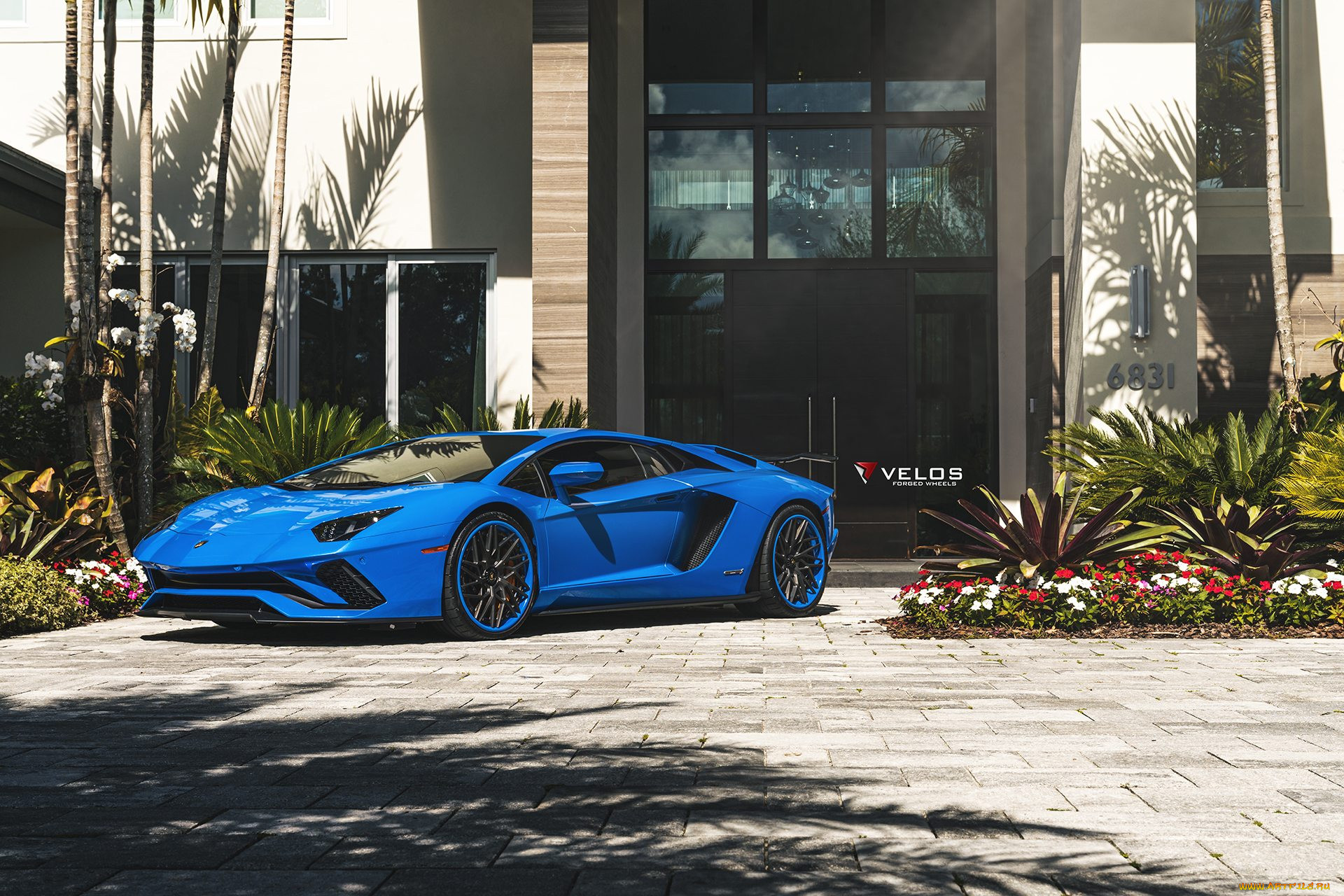 , lamborghini